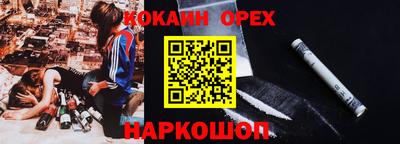 крисы Гатчина