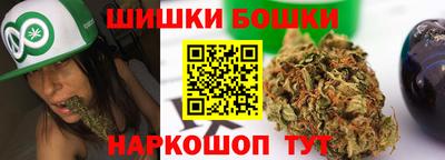 крисы Гатчина
