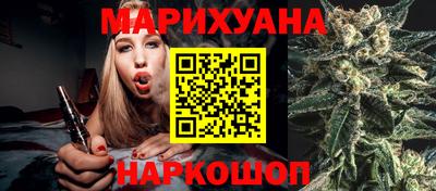 крисы Гатчина