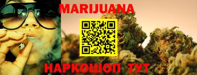 крисы Гатчина