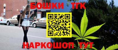 крисы Гатчина