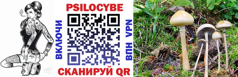 купить наркотики сайты  Котлас  Галлюциногенные грибы мухоморы 