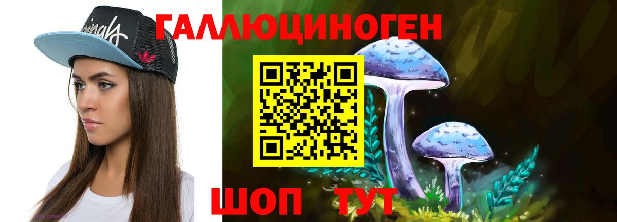 Котлас  Псилоцибиновые грибы ЛСД  Вход с VPN 
